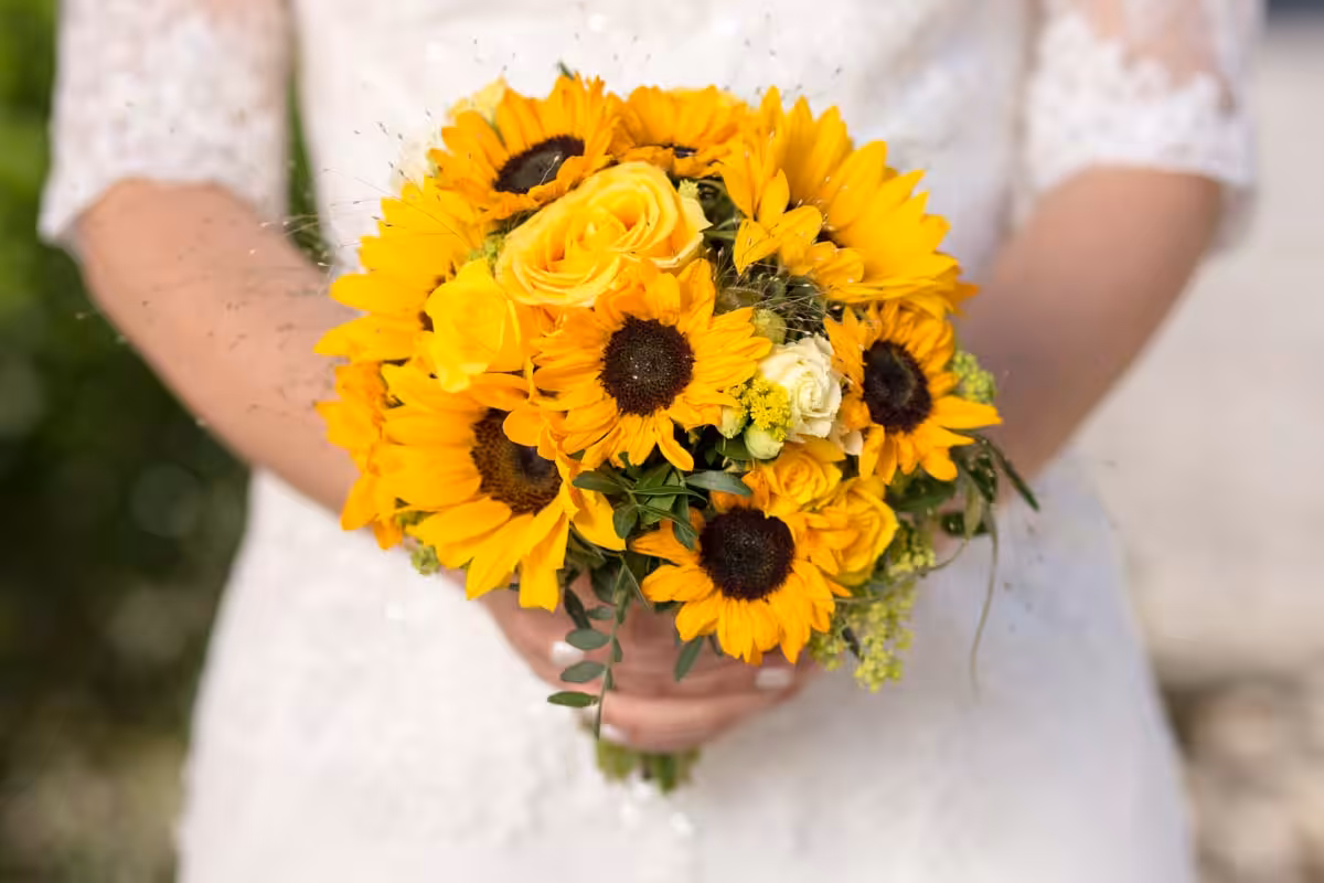 Stefanie & Alexander